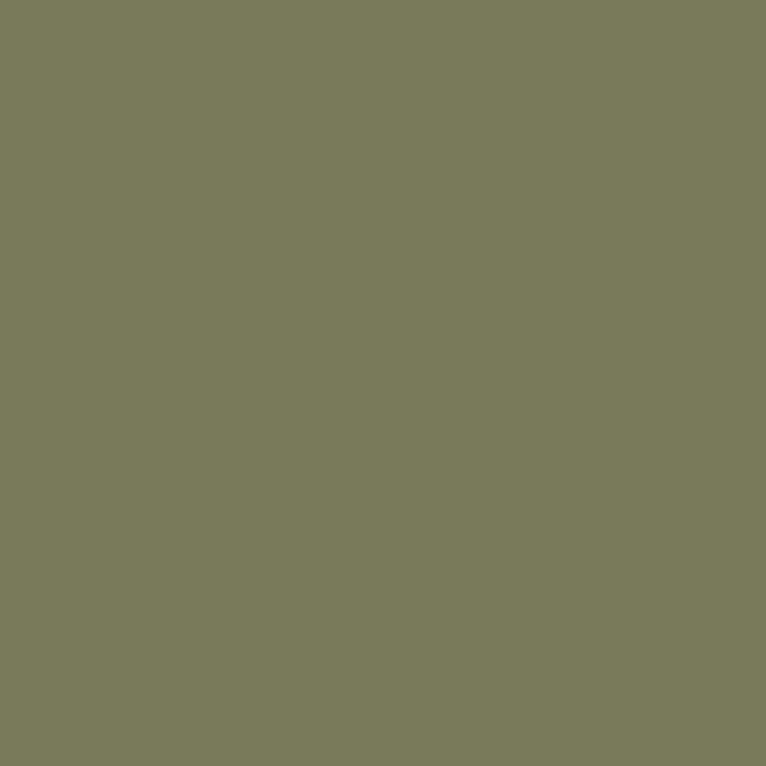Olive Drab Faded 1